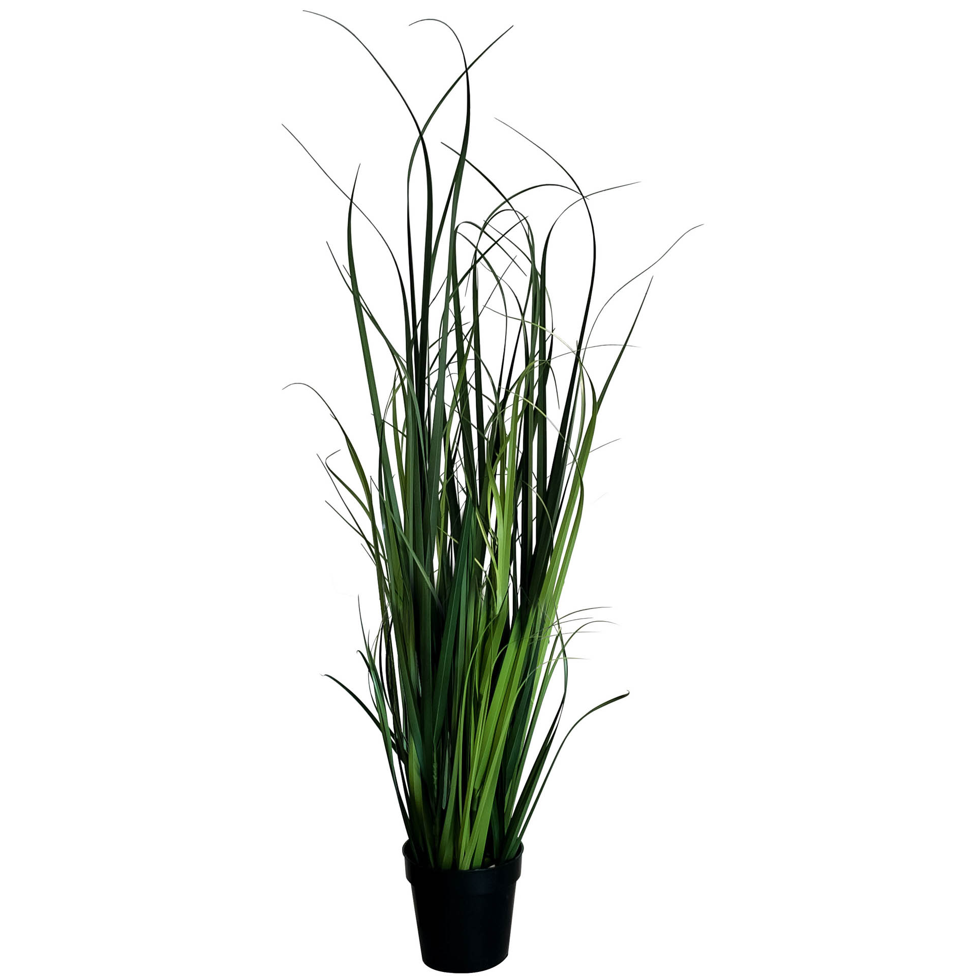Grasbusch, grün, 100-120 cm