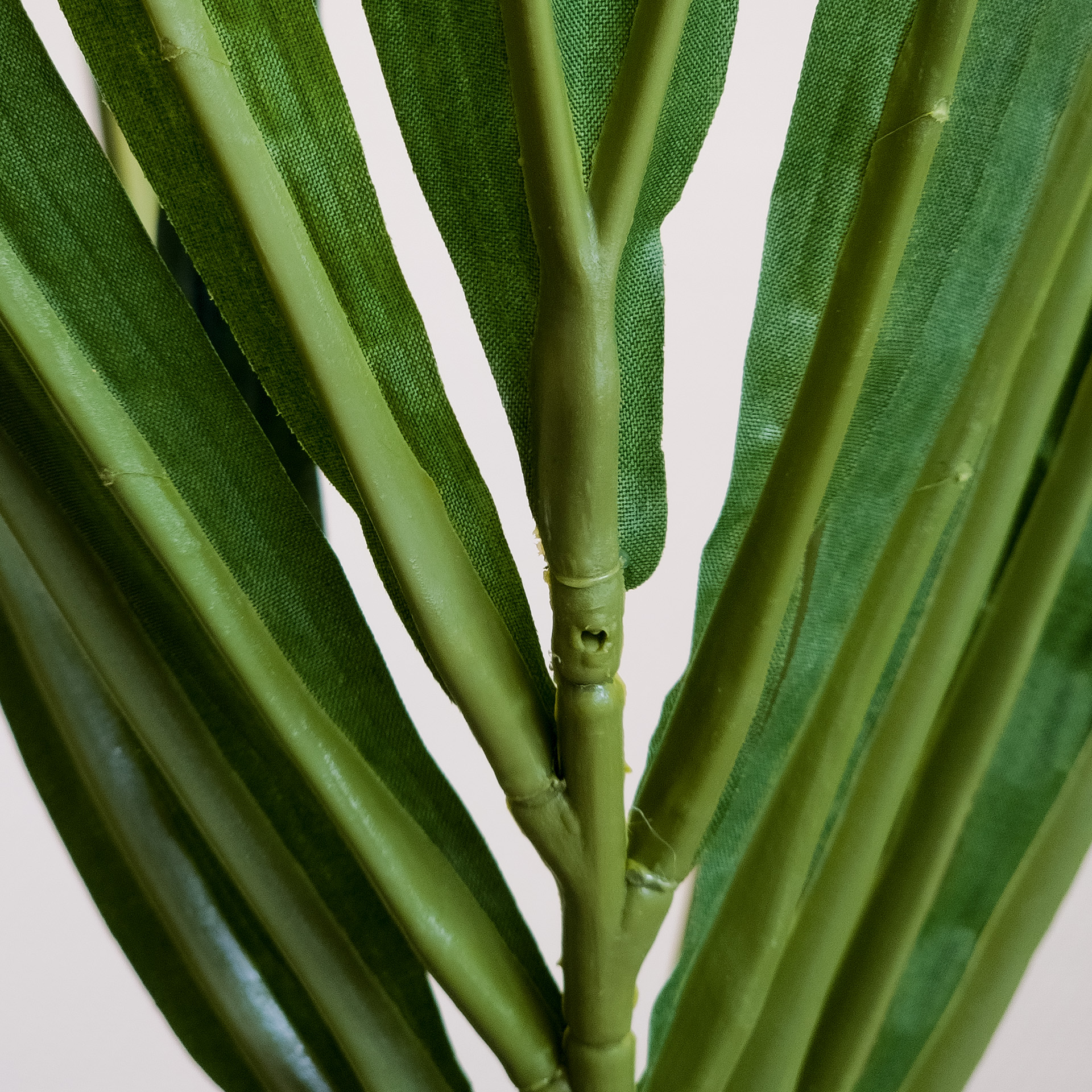 Kentia Palme, 120 cm