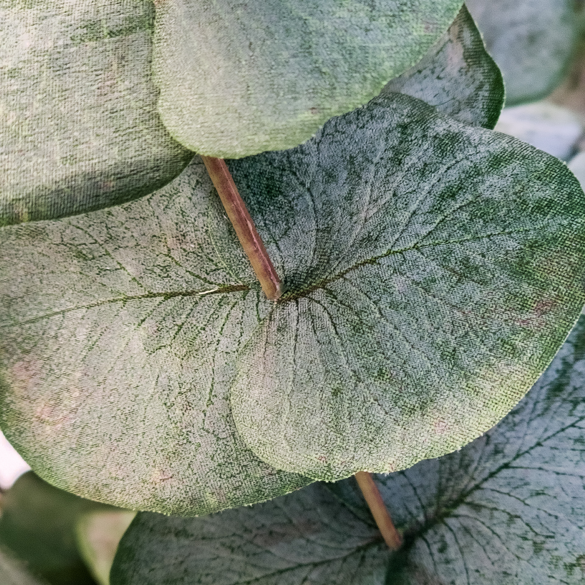 Eukalyptusbusch grün, 115 cm