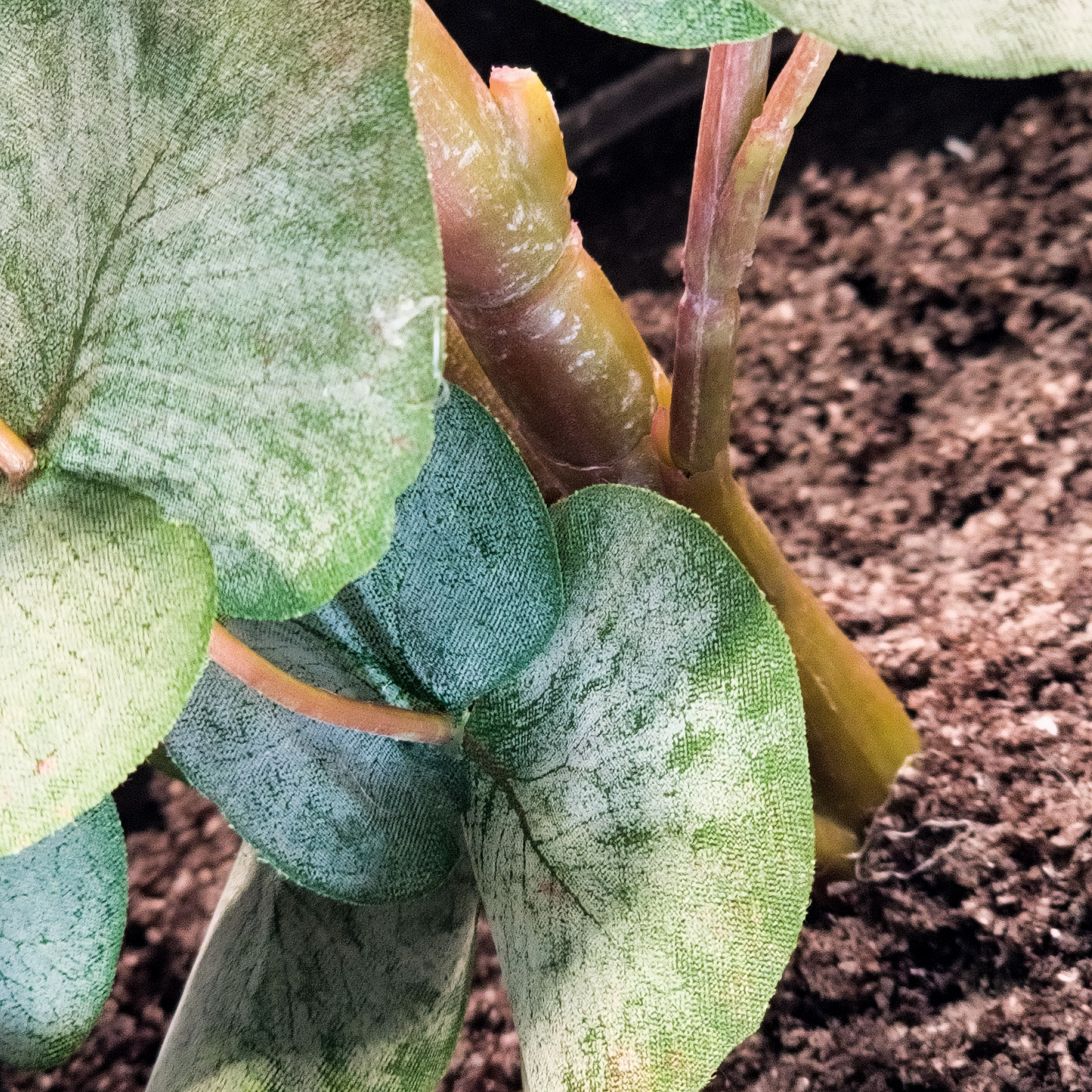 Eukalyptusbusch grün, 115 cm