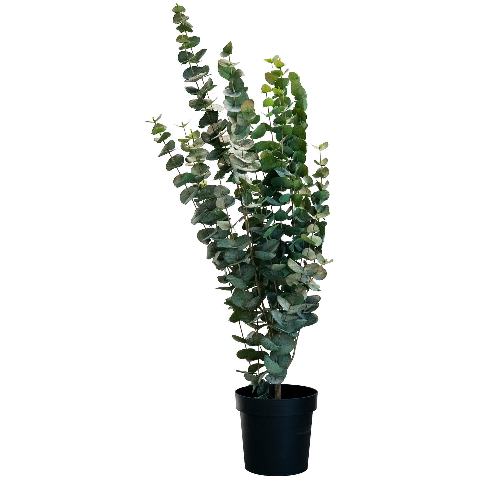 Eukalyptusbusch grün, 115 cm